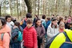 IMG-20230401-WA0014
