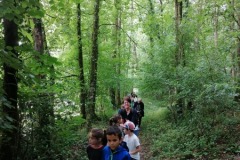 IMG_20230622_094416
