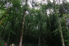 IMG_20230622_100433