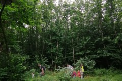 IMG_20230622_101354