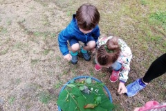 IMG_20230622_104652