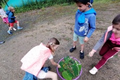 IMG_20230622_104703