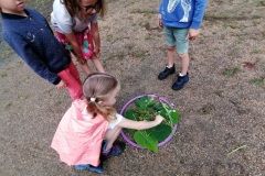 IMG_20230622_104707