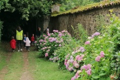 IMG_20230622_111522