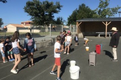IMG_2226