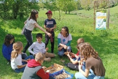 IMG_20230502_153333