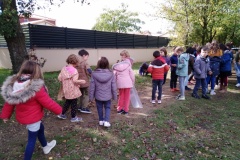 IMG_20201016_135757