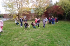 IMG_20201016_140320