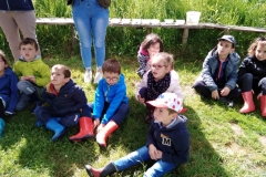 IMG_20190528_104350