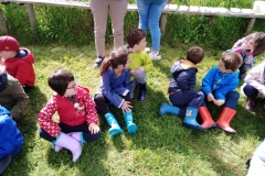 IMG_20190528_104356