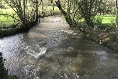IMG_3126